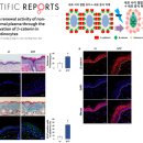 이선생뷰티 이미지