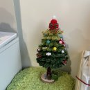 [3월 재능나눔] 나만의 인형 만들기 원데이클래스 <내 손으로 꾸미는 모루인형 > | 경남 김해, 🎄 내 손에서 피어나는 작은 숲/감성소품 모루트리 만들기 /초등학생 원데이클래스