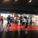 난향동-21 이미지