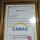 JS덴트칼라