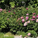 함박공원 입구 이미지