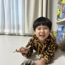 스텐도윤 이미지