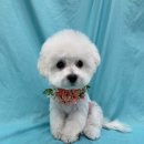 팡앤뭉치 이미지