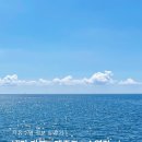 용문국민체육센터 1F | 수영 총정리 | 서귀포국민체육센터•동부국민체육센터•서귀포시민문화체육복합센터•제주종합경기장...