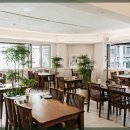 하루한올 이미지