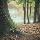 서울수정신건강의학과의원 이미지