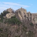 금촌녹십자약국 이미지