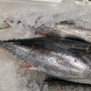 하늘농원1호 이미지