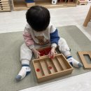 하나몬테소리어린이집 | 대전 용산동 스콜라 몬테소리 후기(28~30개월)