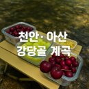 강당골 | [천안·아산 가볼만한곳] 천안·아산 강당골 계곡 추천ㅣ 애견동반 &amp; 아이랑 물놀이
