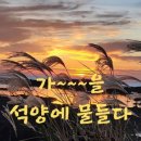 동일리-10 이미지