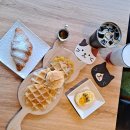 포미펫샵 | 광주 신창동 카페 추천 : 딸고라떼 (feat. 애견 동반 가능)