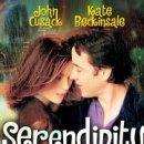 SerendiPity 이미지