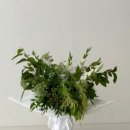 투베이크 이미지