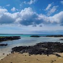 하도 가을이네 민박 이미지