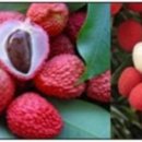 CW-1427-01 이미지