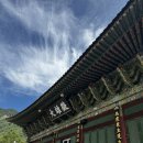 가례 괴진마을 | 밀양가볼만한곳 세계최대와불 밀양정사
