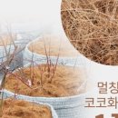 코코농장 1 이미지