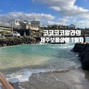 우진마트 | 제주 보름살이-1) 제주 우진해장국 솔직후기| 시소 카이막 | 애월카페거리!