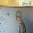 평생 쓰는 내 몸의 근육, 근감소증 예방 | 60대 직장인 남성 고객님,평생의 거북목을 바로 세우다