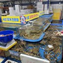 강서수산시장 대게 킹크랩 시세 서해수산, 항구수산 내돈내산 후기