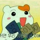 짝궁