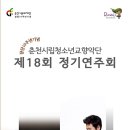 춘천청소년교향악단 이미지