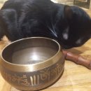 일승화장품 이미지