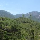 진원면사무소 이미지