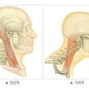 보라매 스파 이미지