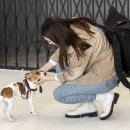 좋은켄넬 이미지