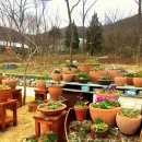 중앙꽃식물원