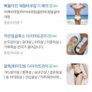 허치벨 이미지
