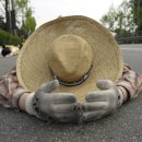 영화초교사거리 이미지