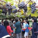 옥이네농장 이미지