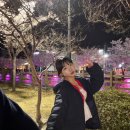 팔랑귀