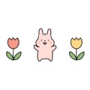 아인 홈