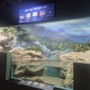 토속어류생태복원체험관 | 경북 울진, 리안이의 첫 아쿠아리움 이야기 – 경북 민물고기생태체험관 체험기