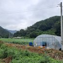 산내골농장 이미지