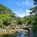 칠연계곡펜션 | 전북 무주 물놀이 계곡 평상대여 후기 '칠연계곡펜션'