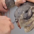 파도식탁 이미지