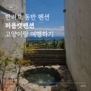 오션 캣 | 반려묘 동반 펜션 고양이와 함께한 영덕 오션뷰 퍼플캣펜션
