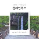 천지동-1 | 여행 일지)🌿 제주 서귀포 천지연폭포 솔직 후기 | 입장료부터 야경까지 완벽 정리