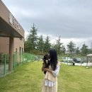 독트럴파크 이미지