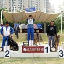 대구애견스쿨 이미지