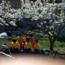 달님민박 이미지