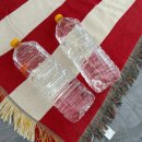 하도리 사무소 | 제주 아이와 물놀이하기 좋은 곳｜하도해수욕장 개장일과 방문 후기