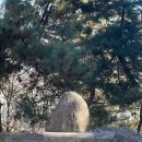 연산동고분군 | 🌿 연산동 배산숲길 + 고분군 산책 후기 – 도심 속 자연 뷰 맛집 🏞️