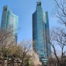 103에비뉴 개방화장실 | 벚꽂축제 2025년 seoulforest 서울숲데이트 서울숲벚꽂 서울숲주차장무료개방