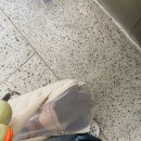 최우식동물병원 이미지